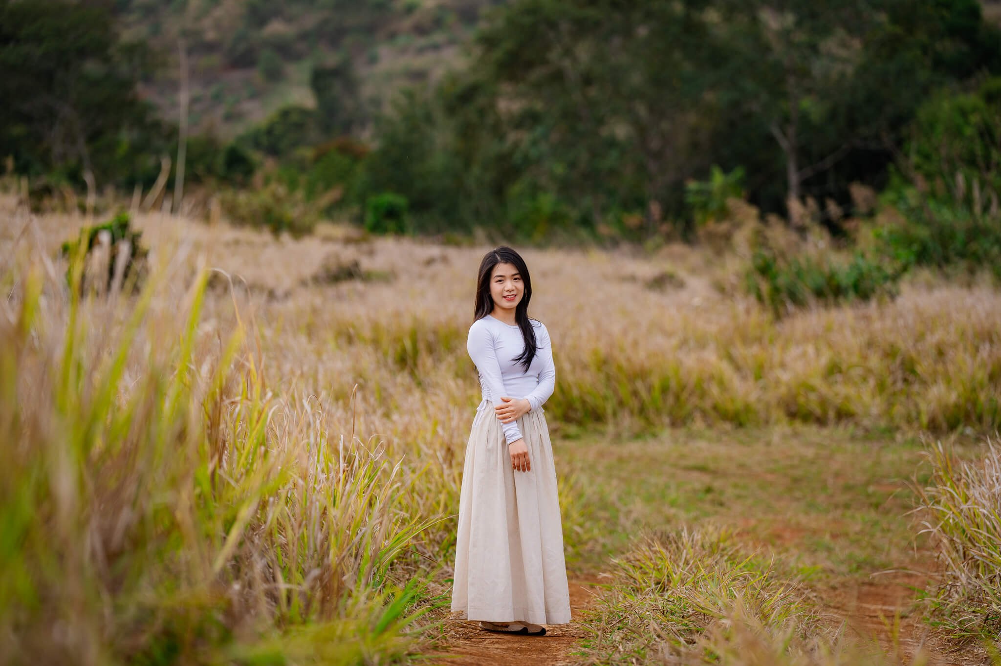đồi cỏ măng đen